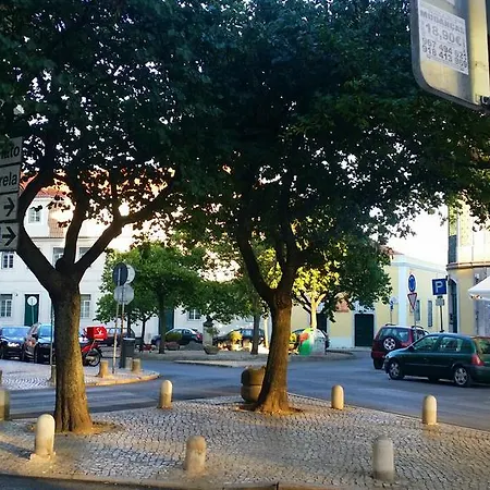 Palma Lisboa