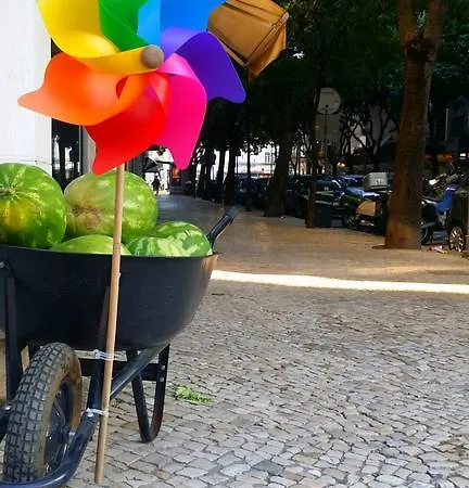 Palma